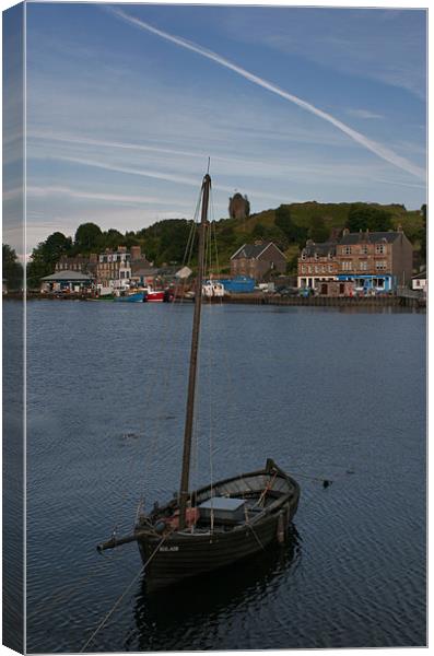 Tarbot Harbour Canvas Print by Tommy Reilly