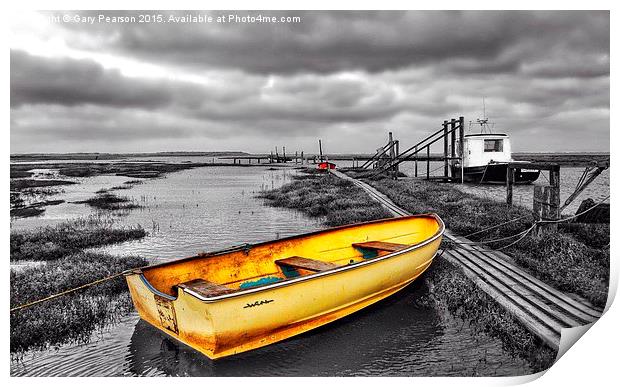 Standing out at the staithe  Print by Gary Pearson