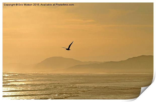  Flight in Evening Light Print by Eric Watson