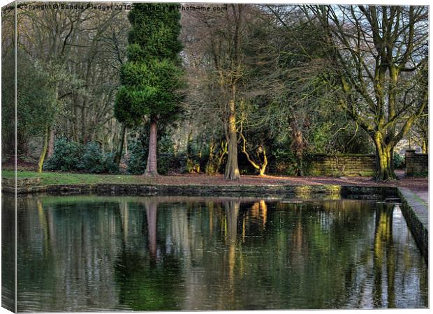  Winter reflections in the Park Canvas Print by Sandra Pledger