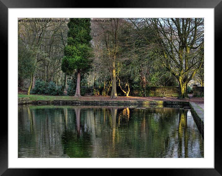  Winter reflections in the Park Framed Mounted Print by Sandra Pledger