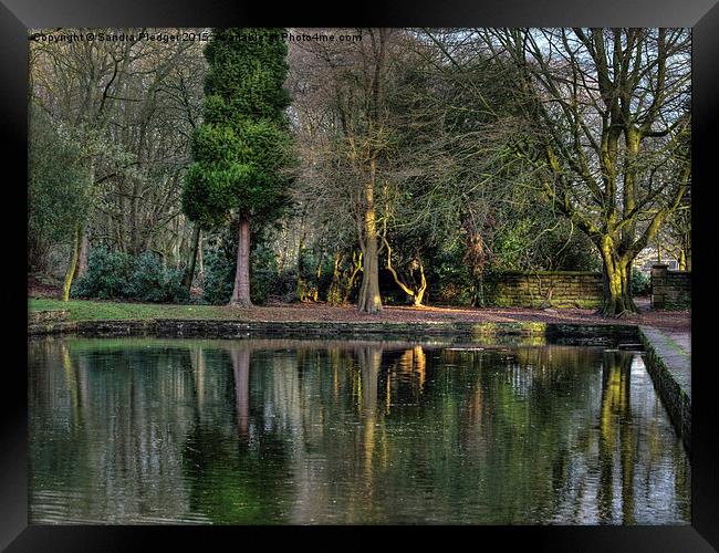  Winter reflections in the Park Framed Print by Sandra Pledger