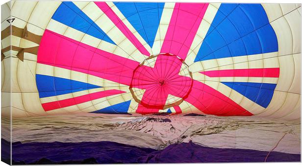  Hot air balloon Canvas Print by Tony Bates