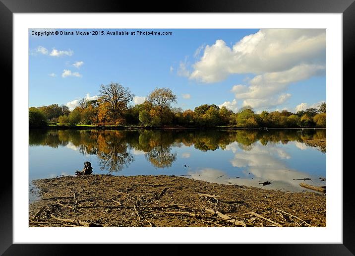  Hatfield Forest  lake Framed Mounted Print by Diana Mower