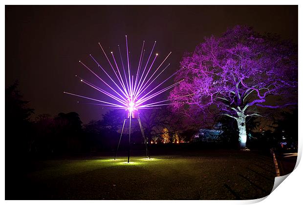  Kew Christmas Lights Print by Tony Bates