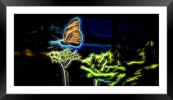  Flight Of The Butterfly Framed Mounted Print by Tom and Dawn Gari
