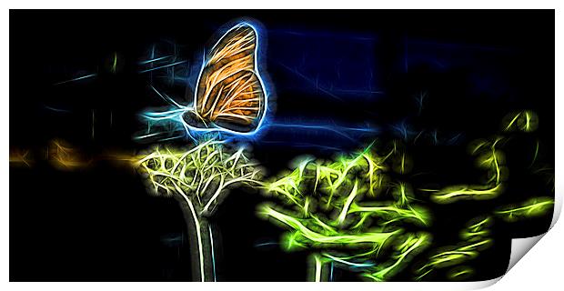  Flight Of The Butterfly Print by Tom and Dawn Gari