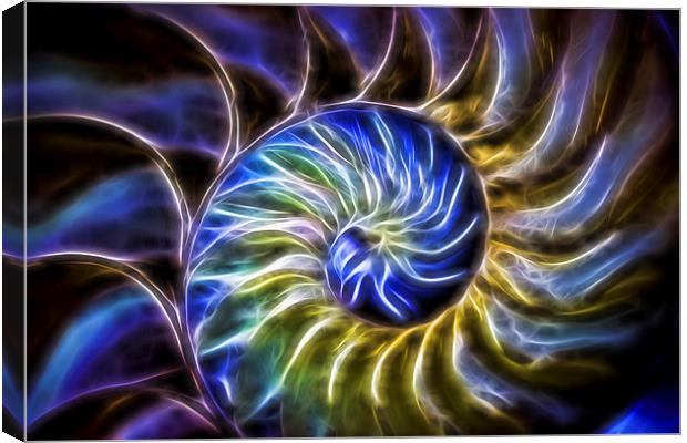  Nautilus Shell Abstract Canvas Print by Tom and Dawn Gari
