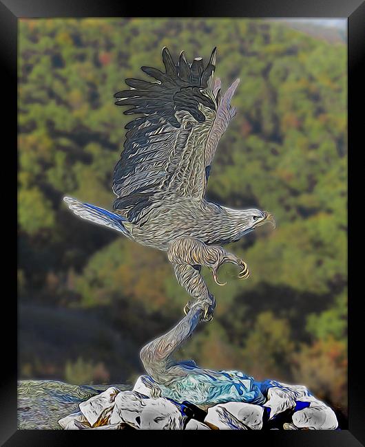  Eagle at Rock City Framed Print by Tom and Dawn Gari