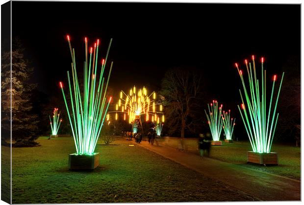  Kew Christmas lights Canvas Print by Tony Bates