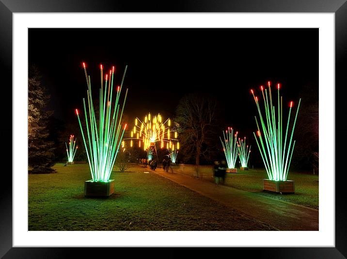  Kew Christmas lights Framed Mounted Print by Tony Bates