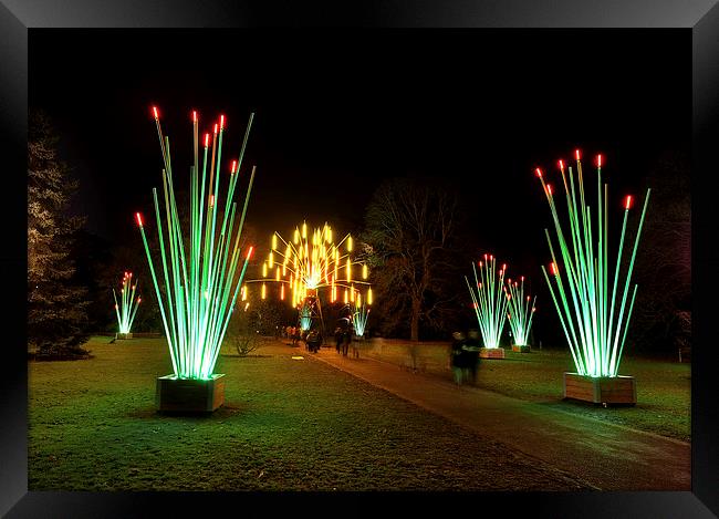  Kew Christmas lights Framed Print by Tony Bates