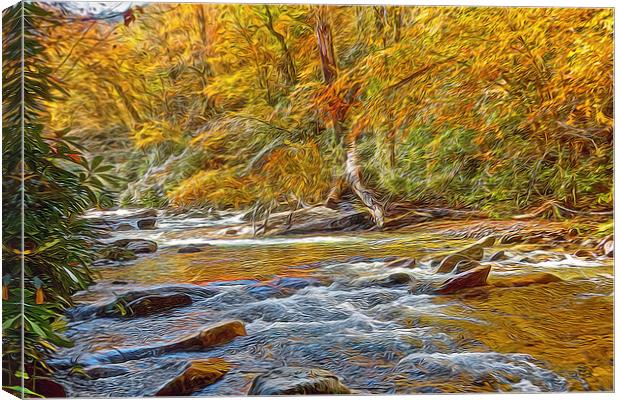  Stream In The Woods Canvas Print by Tom and Dawn Gari