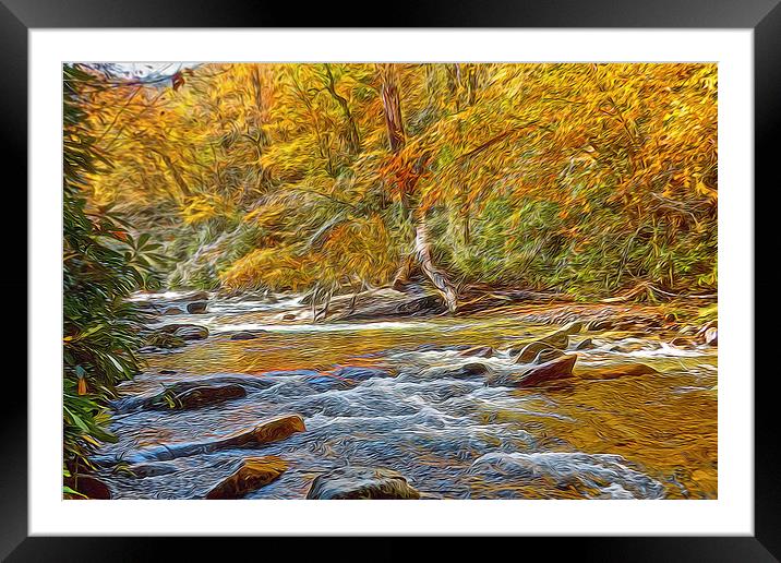  Stream In The Woods Framed Mounted Print by Tom and Dawn Gari
