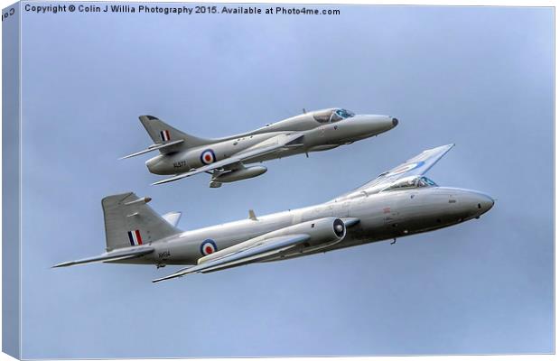  The Midair Duo Canvas Print by Colin Williams Photography