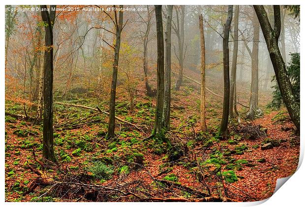 The Forest of Dean Print by Diana Mower