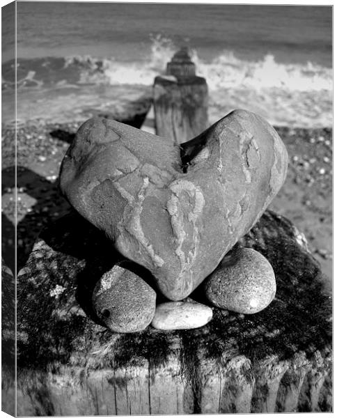  Love On A Beach Canvas Print by Brian Sharland