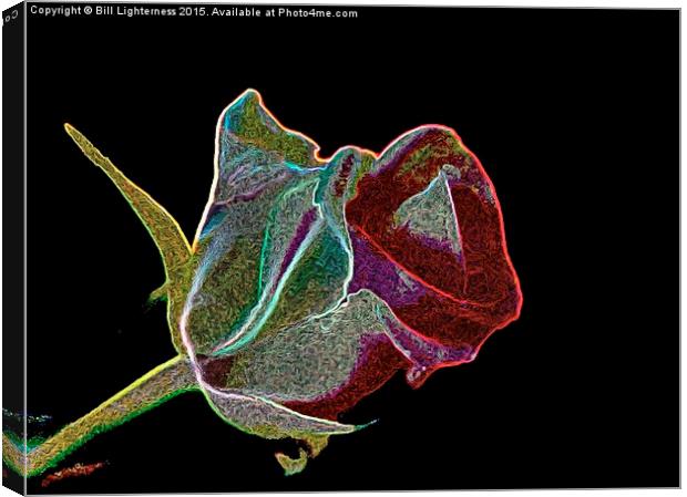 A Rose by any Other Name Canvas Print by Bill Lighterness