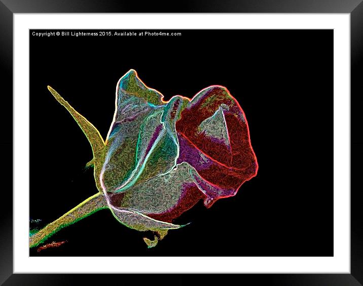  A Rose by any Other Name Framed Mounted Print by Bill Lighterness