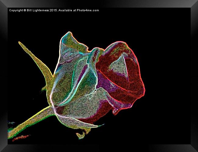  A Rose by any Other Name Framed Print by Bill Lighterness