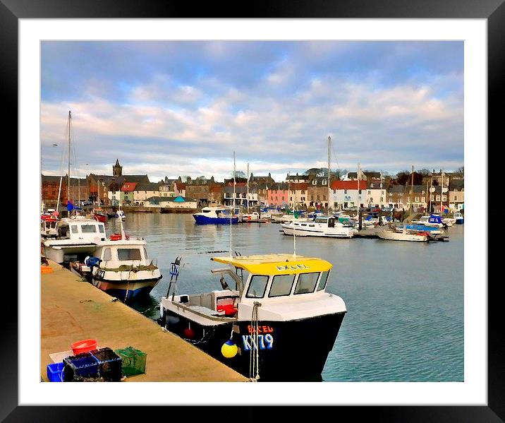  anstruther harbor  Framed Mounted Print by dale rys (LP)