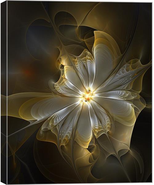 Silver and Gold Canvas Print by Amanda Moore