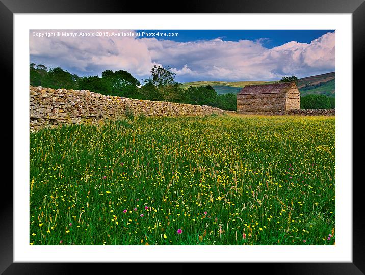  Muker Wildflower Meadows Framed Mounted Print by Martyn Arnold