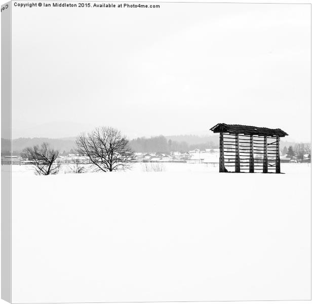 Winter landscape in black and white Canvas Print by Ian Middleton