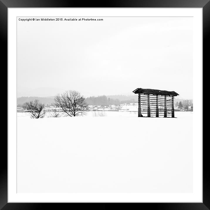 Winter landscape in black and white Framed Mounted Print by Ian Middleton