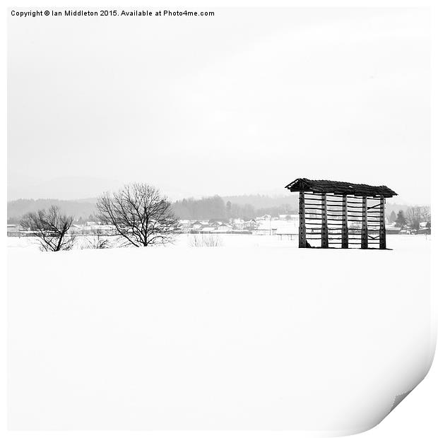 Winter landscape in black and white Print by Ian Middleton