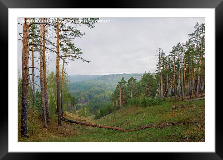  Russian landscape Framed Mounted Print by Artem Korenuk