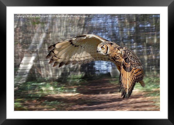  Eurasian Eagle Owl Framed Mounted Print by Mark McElligott