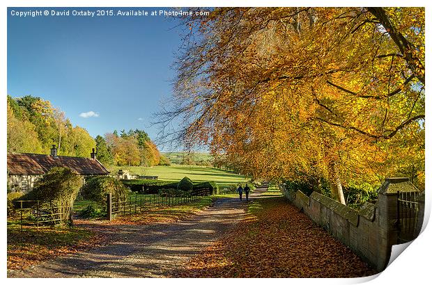  Autumn in Egton Bridge Print by David Oxtaby  ARPS