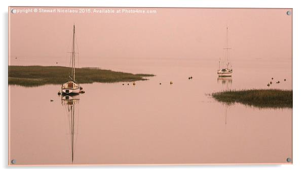 Still & Misty, Riverside Country Park Acrylic by Stewart Nicolaou