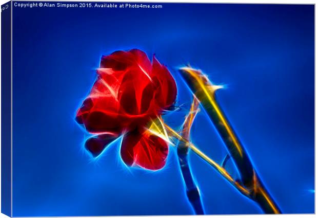  Red Rose Canvas Print by Alan Simpson