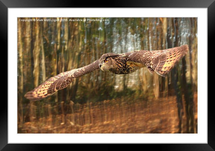  European Eagle Owl Framed Mounted Print by Mark McElligott