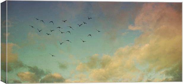 flying over the rainbow Canvas Print by Heather Newton