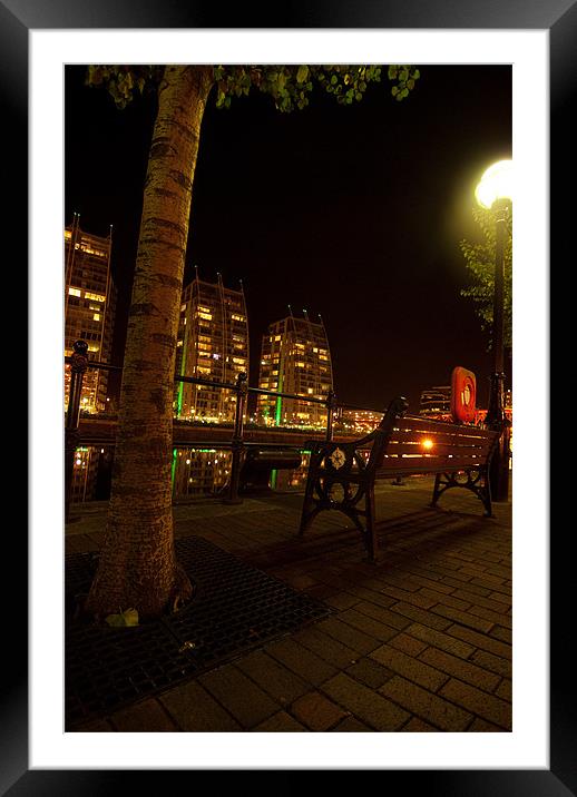 Tree At Salford Quays By Night Framed Mounted Print by James Lavott