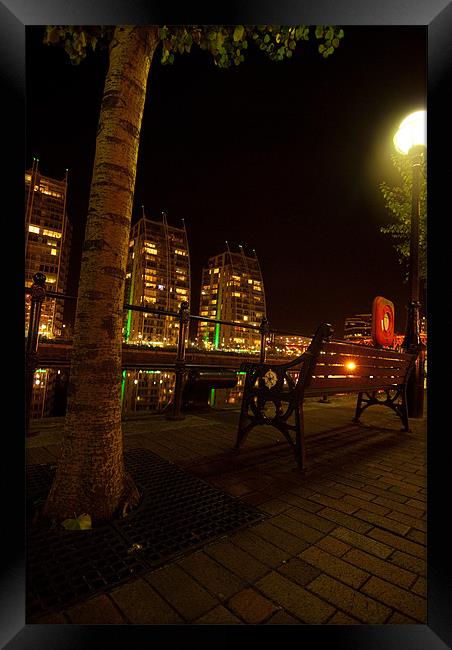 Tree At Salford Quays By Night Framed Print by James Lavott