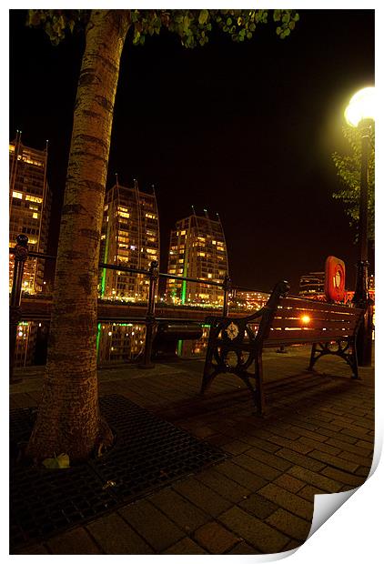 Tree At Salford Quays By Night Print by James Lavott