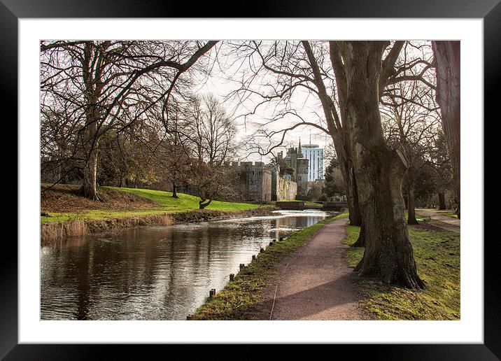  Along the Taff. Framed Mounted Print by Becky Dix