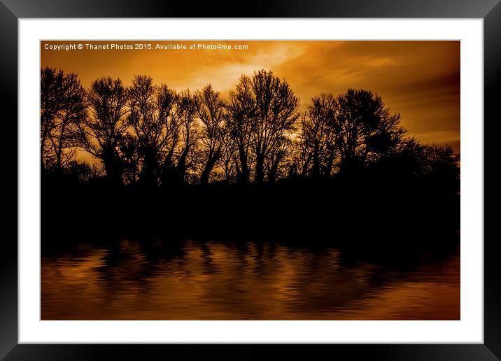  Tree silhouette  Framed Mounted Print by Thanet Photos