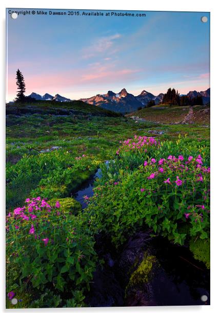 Tatoosh Dawn Acrylic by Mike Dawson