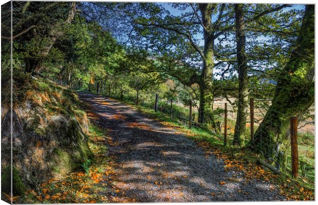 Autumn Countryside  Canvas Print by Ian Mitchell