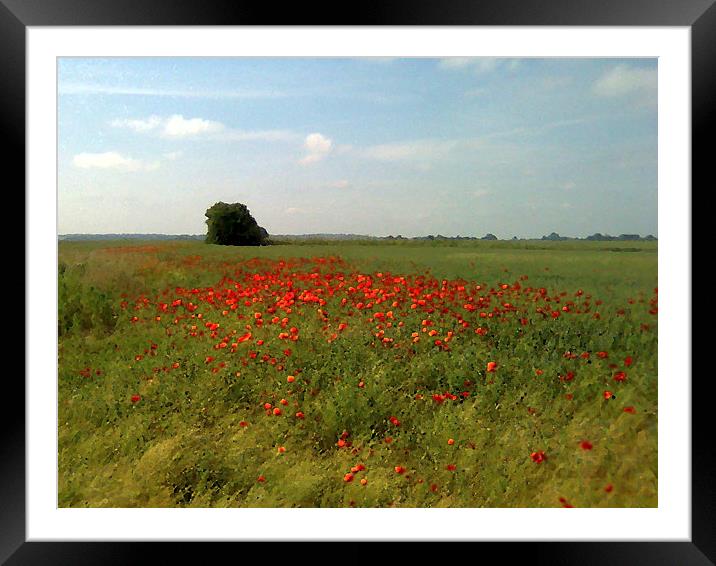  Summer time fields 2 Framed Mounted Print by Paul Collis