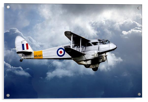 Dragon Rapide  Acrylic by J Biggadike