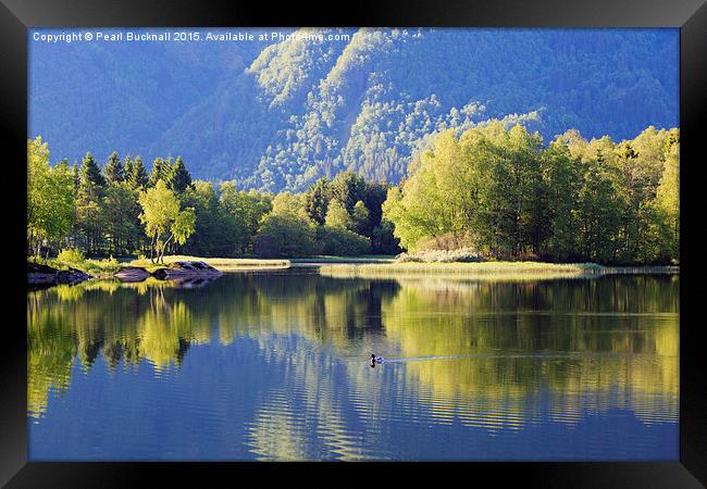 Tranquil Water in Lake Haukeland Norway Framed Print by Pearl Bucknall