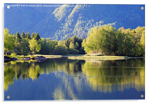Tranquil Water in Lake Haukeland Norway Acrylic by Pearl Bucknall