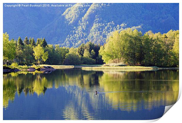 Tranquil Water in Lake Haukeland Norway Print by Pearl Bucknall