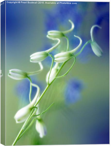 Delphinium Blue Shadow Floral Canvas Print by Pearl Bucknall